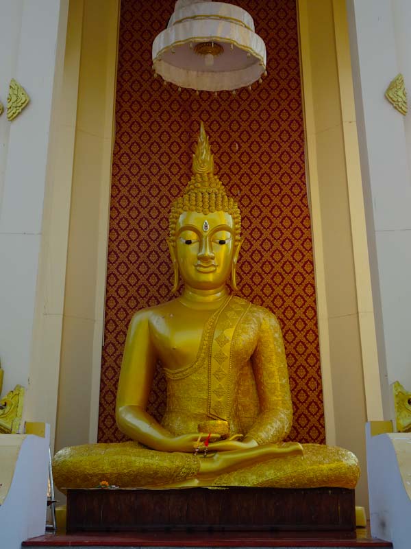 dhammajaree429