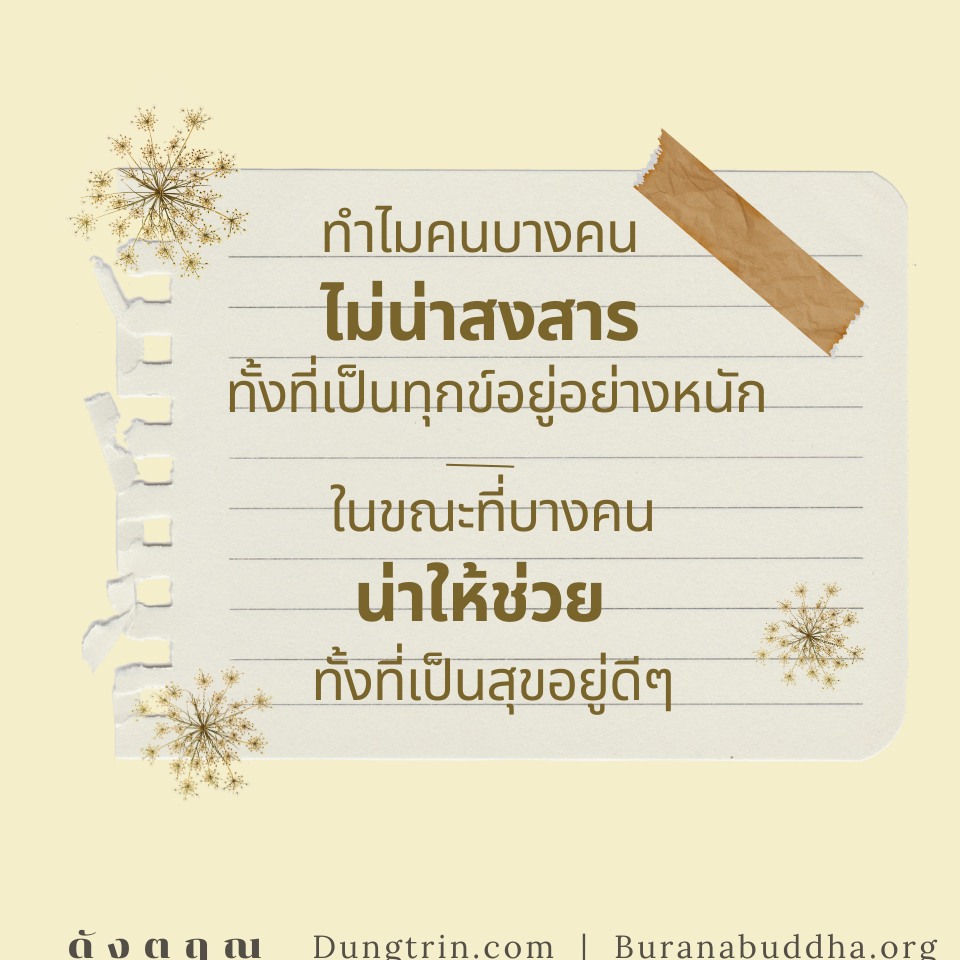 editor425