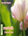 th cover222